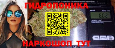 бошки Славгород