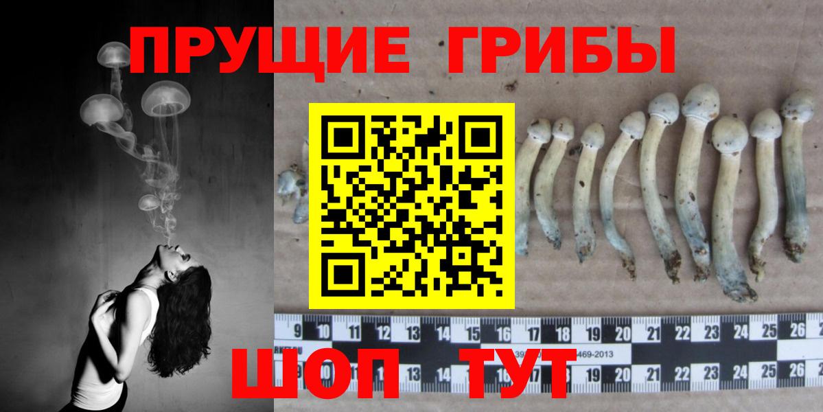 Галлюциногенные грибы Magic Shrooms  как найти закладки  Светлоград  Вход с VPN  Галлюциногенные грибы Psilocybine cubensis 